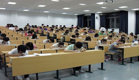 �����ĵ������15ƪ